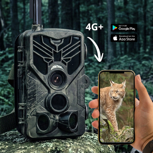 Caméra de chasse 4G+ SIM, écran de contrôle