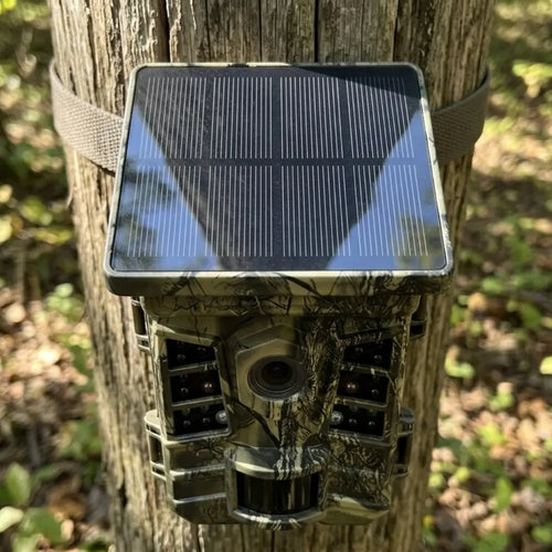 Caméra de chasse WIFI 4K NATURE CAMERA