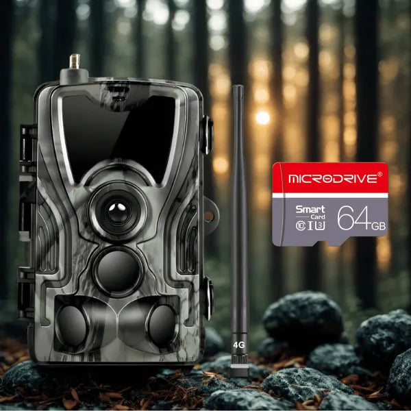 Carte SD haute vitesse - Adaptateur offert