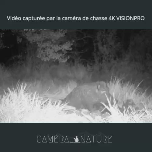 Caméra de chasse 4K vision nocturne