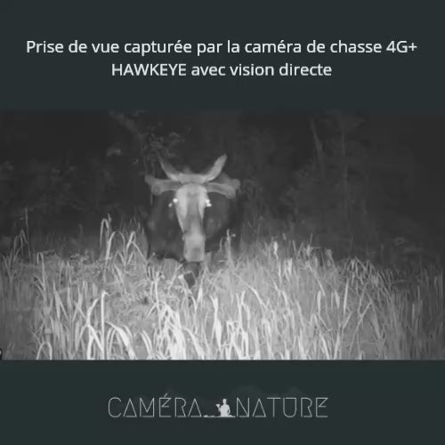 Caméra de chasse 4G+ SIM, écran de contrôle