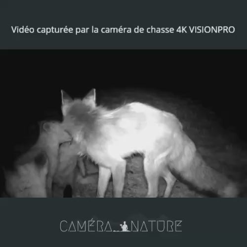 Caméra de chasse 4K vision nocturne