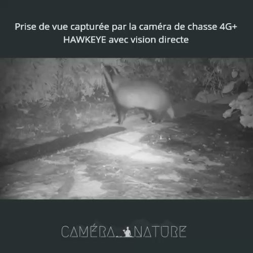 Caméra de chasse 4G+ SIM, écran de contrôle