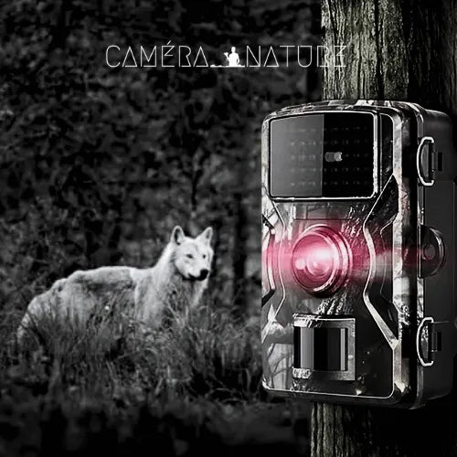 vision-nocturne-camera-de-chasse